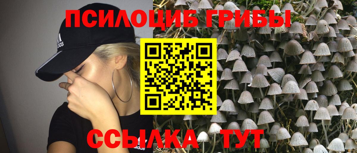 Когалым  Псилоцибиновые грибы мицелий  Вход с VPN 